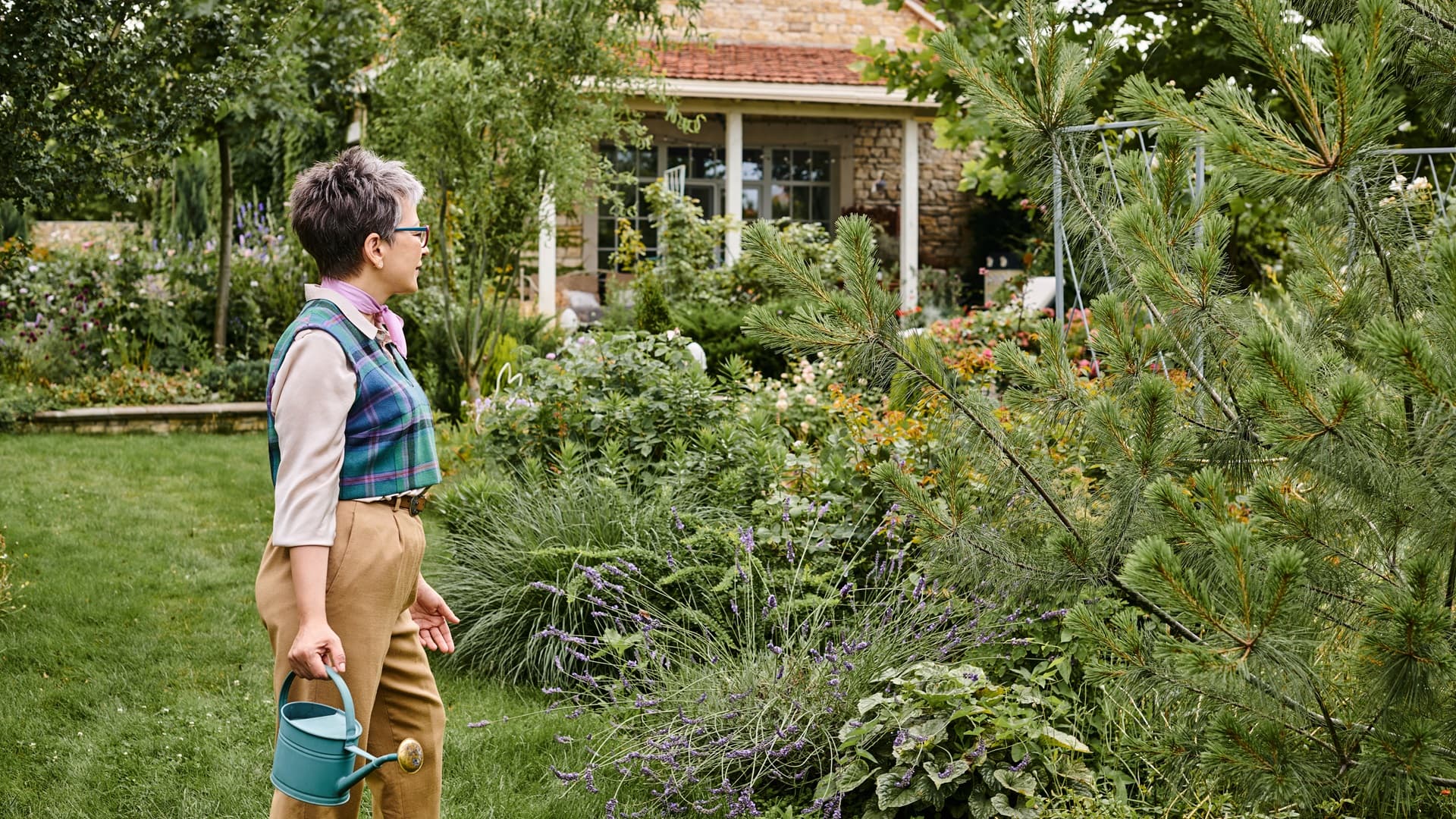 Korkeat pylväshaavat tuovat roskaa – miten hallita kasvua? Asiantuntija vastaa