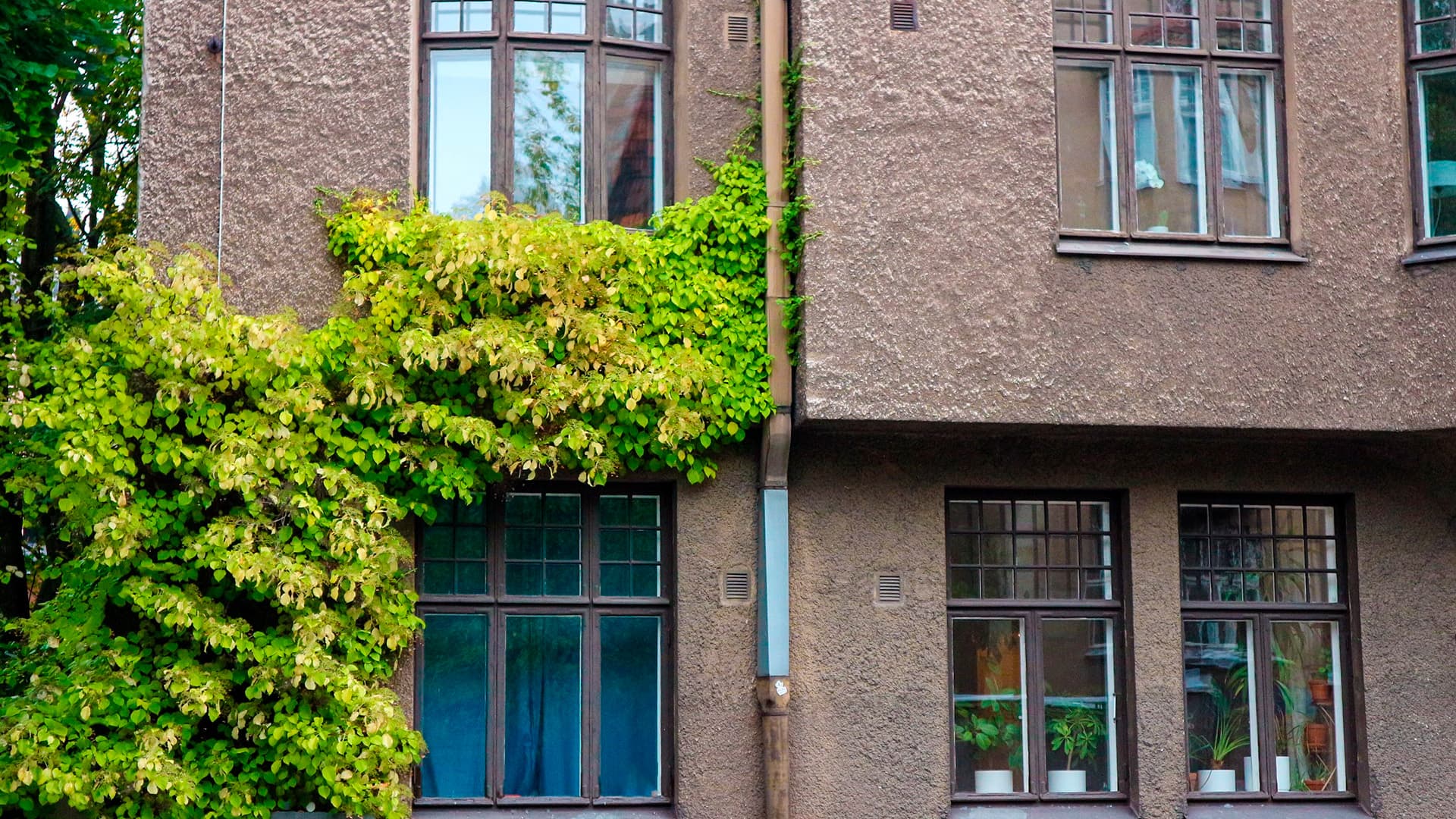 Taloyhtiön ja osakkaan valvontavelvoitteet remonteissa