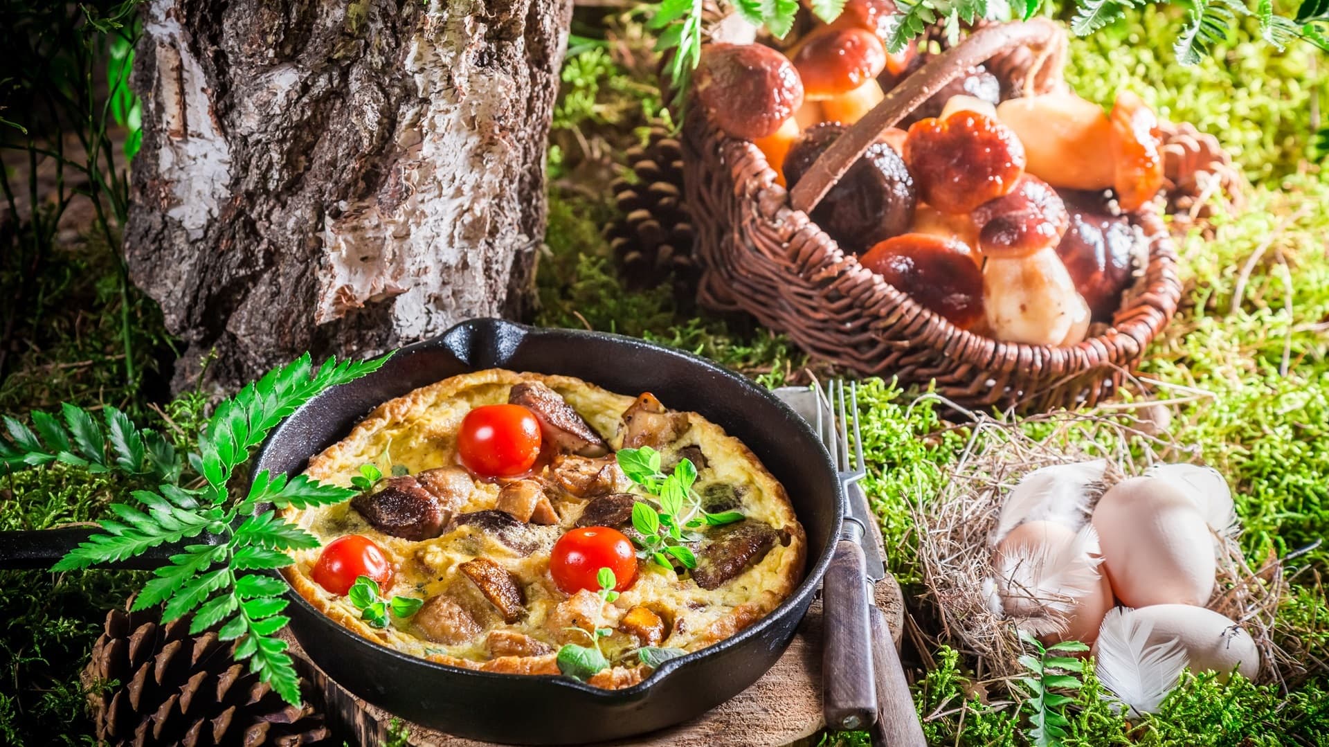 Sienistä hyvinvointia – viljellyt vaihtoehdot lautaselle