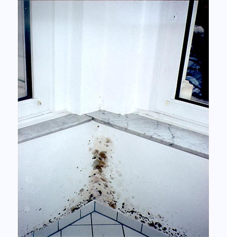 Homevaurio, joka on syntynyt puutteellisesta ilmanvaihdosta. Kuva otettu vuosi ikkunoiden vaihtamisen jälkeen.