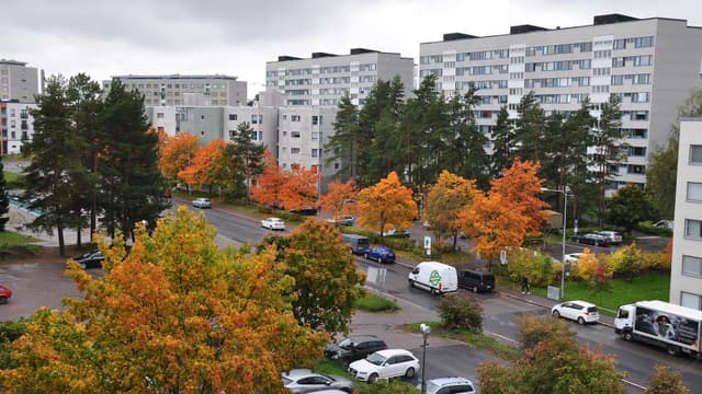 kaupunkimaisema jossa henkilöautoja sekä kerrostaloja puissa ruskan värittämiä lehtiä