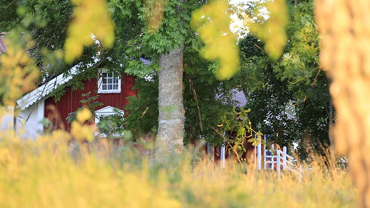 Ilmanvaihto kuntoon myös mökillä