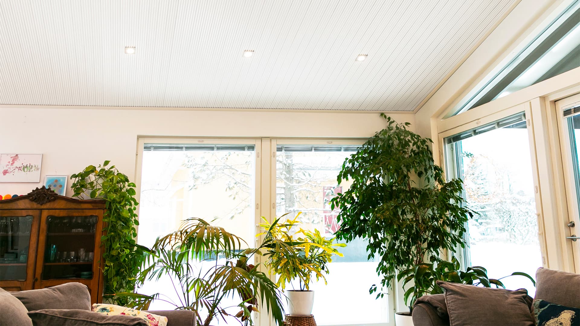 Täyden värintoiston led-valaisimet auttavat myös kasveja voimaan hyvin