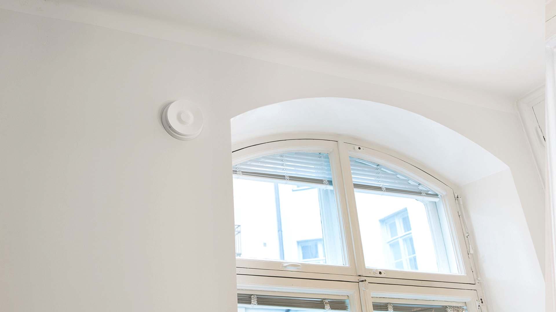 Asianajaja vastaa: Mikä on asukkaan oikeus terveelliseen sisäilmaan?