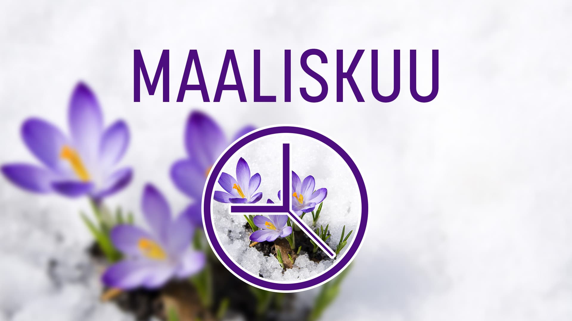 Taloyhtiön vuosikello: Maaliskuu