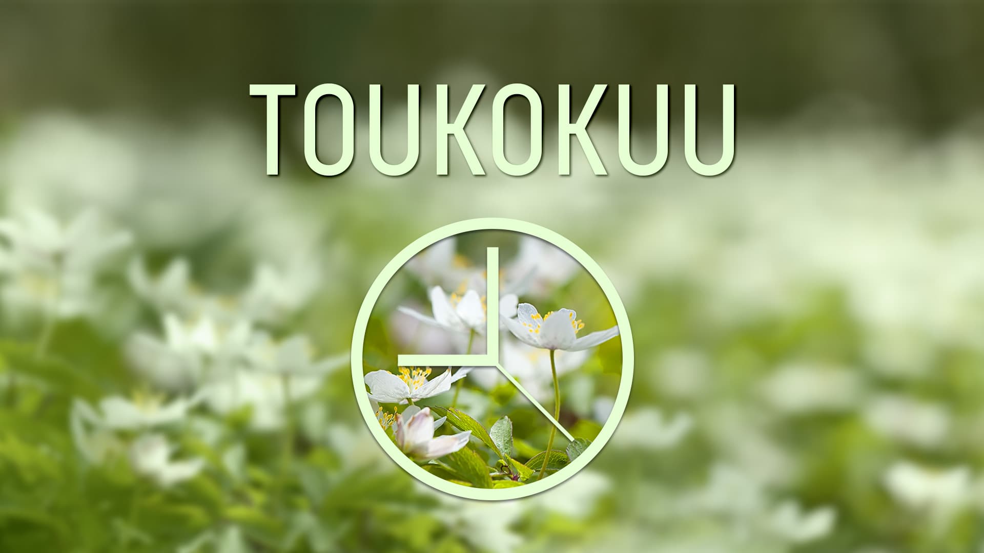 Taloyhtiön vuosikello toukokuu