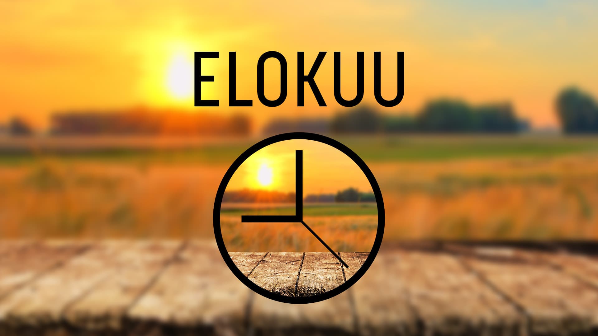 Taloyhtiön vuosikello tikittää: Elokuu