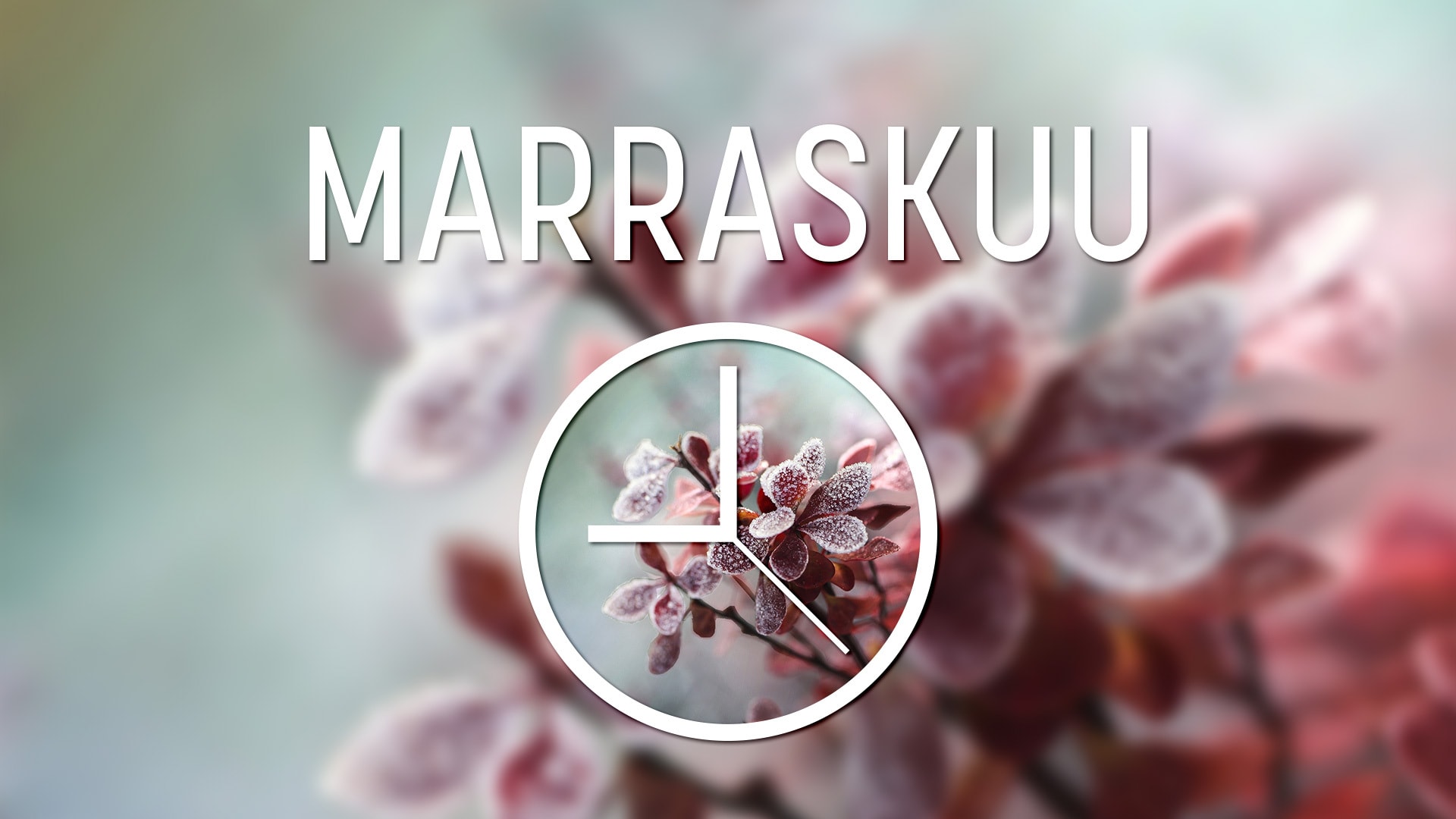 Taloyhtiön vuosikello marraskuu