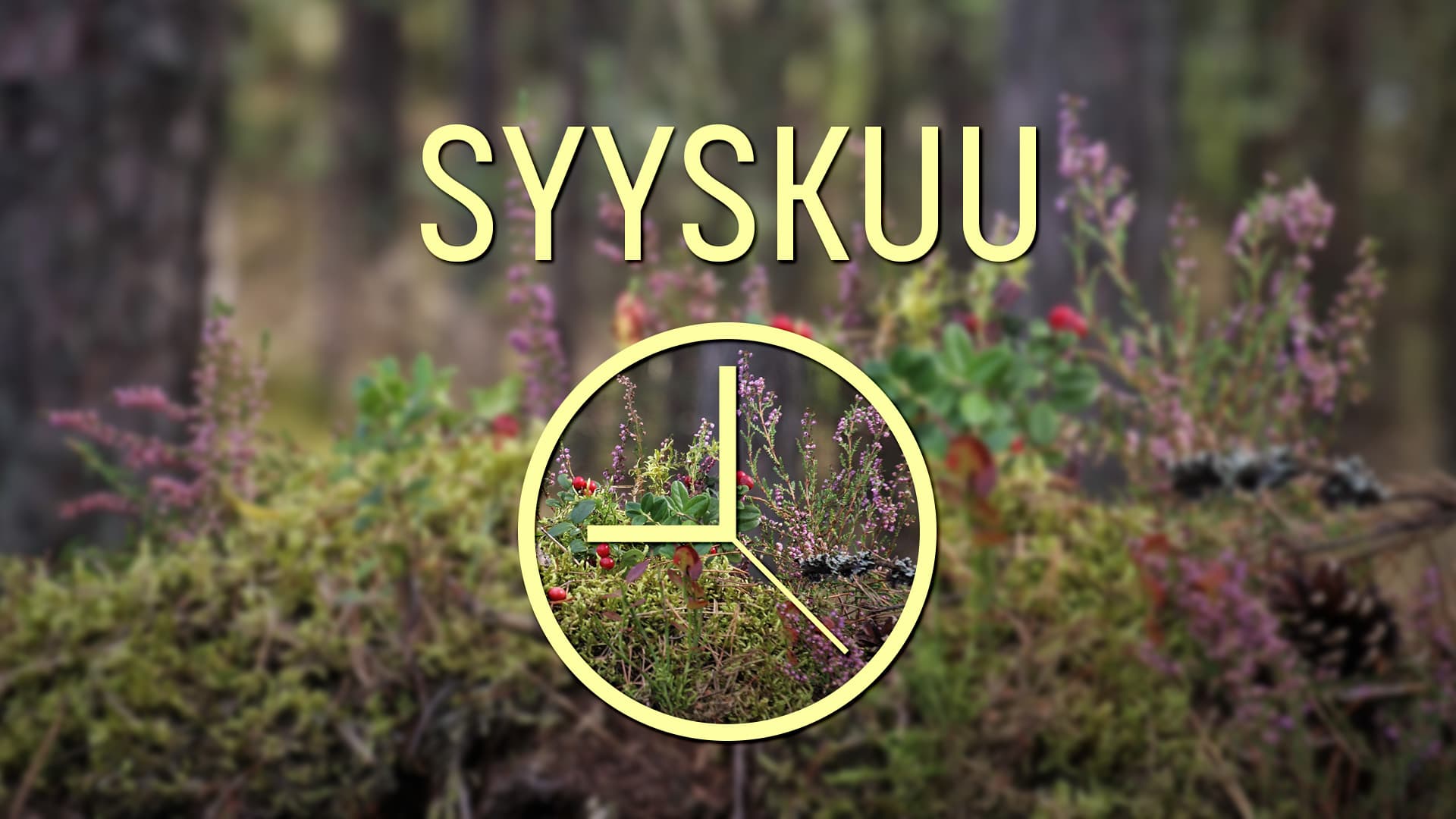 Taloyhtiön vuosikello tikittää: Syyskuu