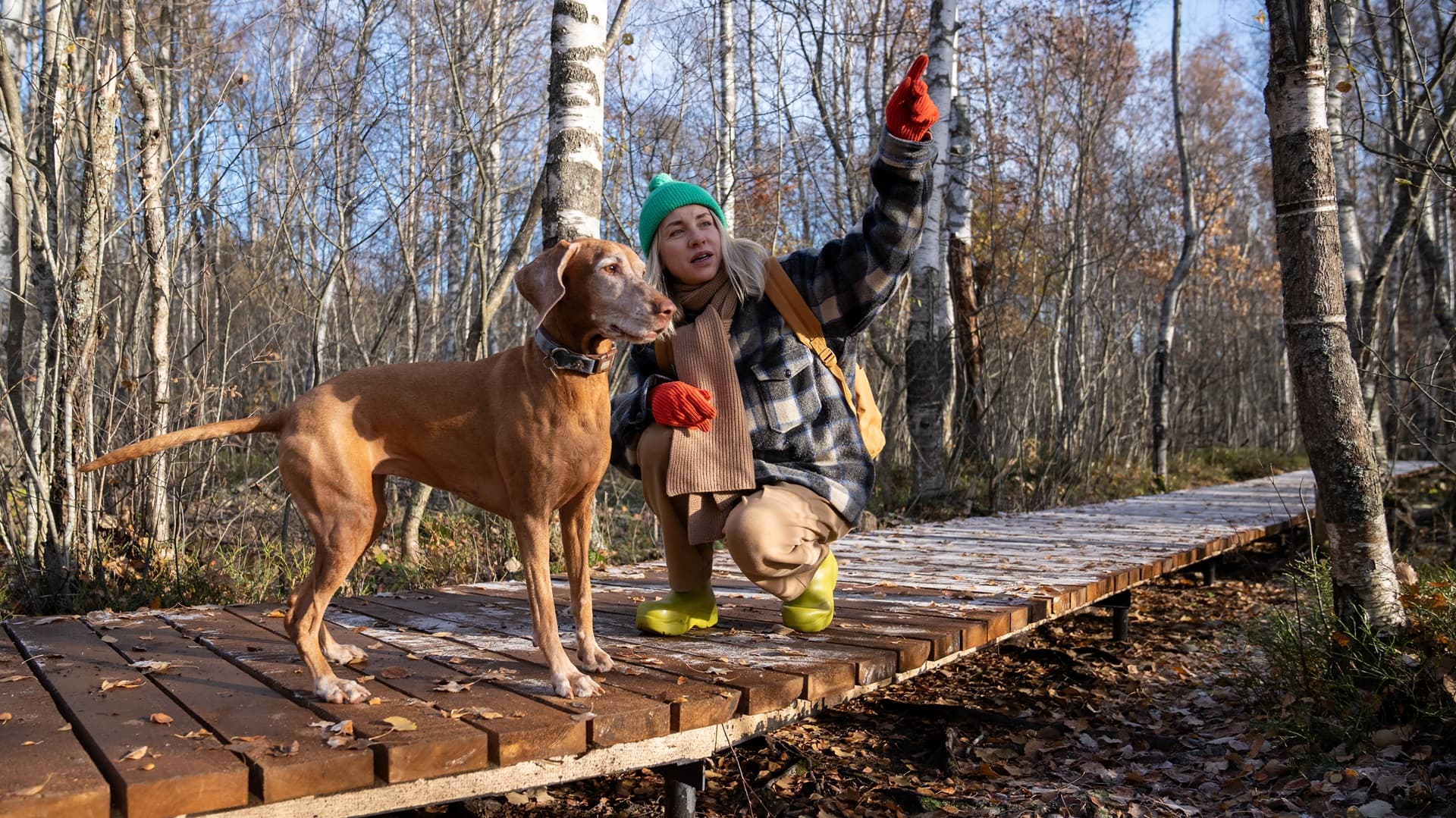 Virikkeellinen piha tekee lemmikin arjesta mielenkiintoisen